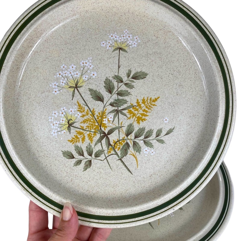 Vintage 1977 Willow o’ the Wisp Royal Doulton SET 2 England Plates Dinnerware 10